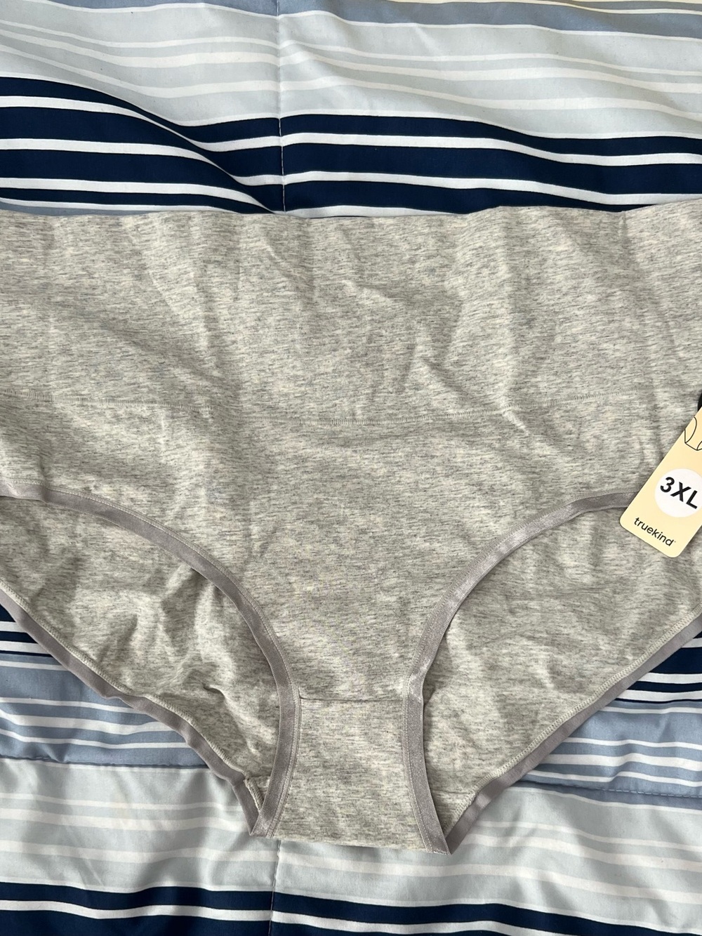 truKind Women's Plus-Size Gray Cotton Brief Panty - 3XL